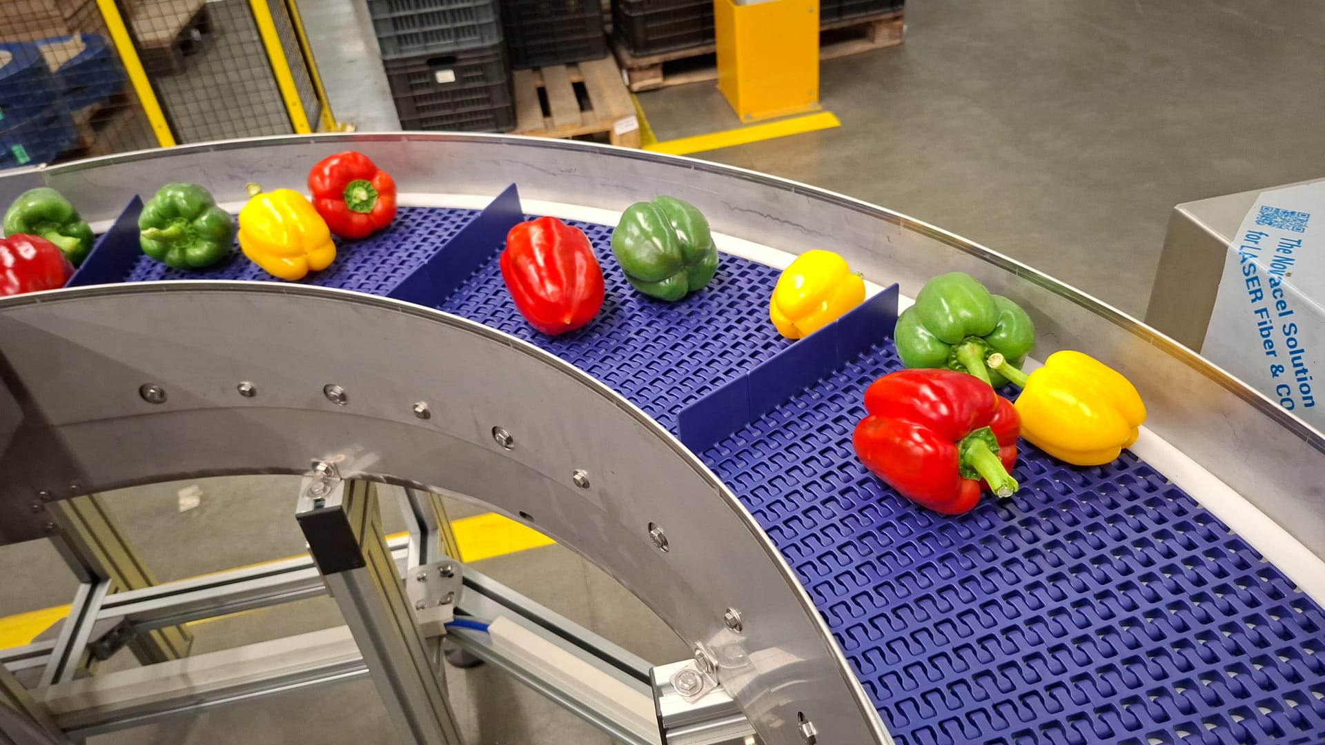 WhatsApp Image 2026-04-15 at 12.51.30.jpeg